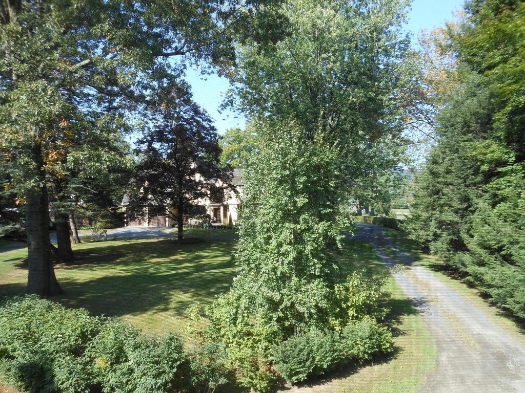 Apartamento The Carriage House Loft Kingston Exterior foto